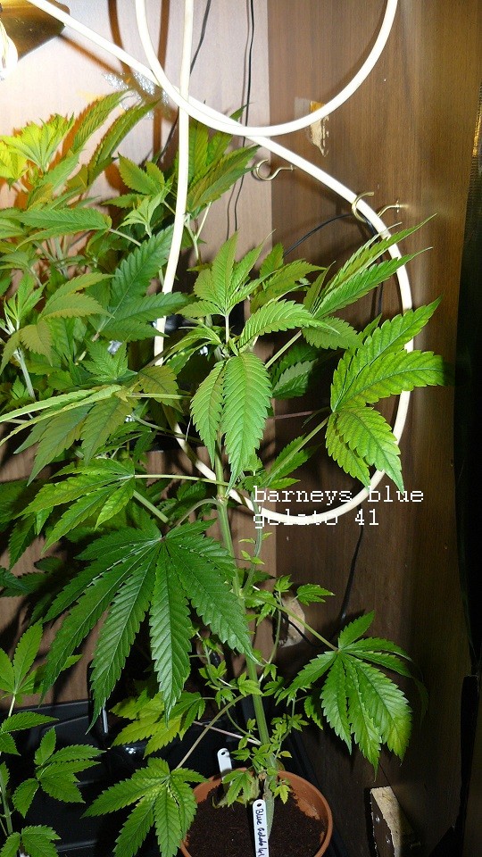 drobes 19 01 22 049