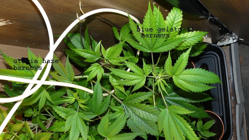 drobes 19 01 22 050