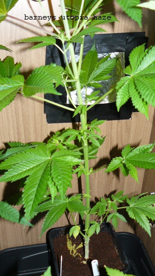 drobes 19 01 22 051