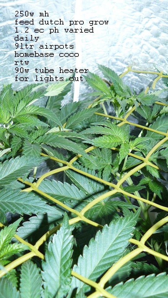 drobes 19 01 22 057