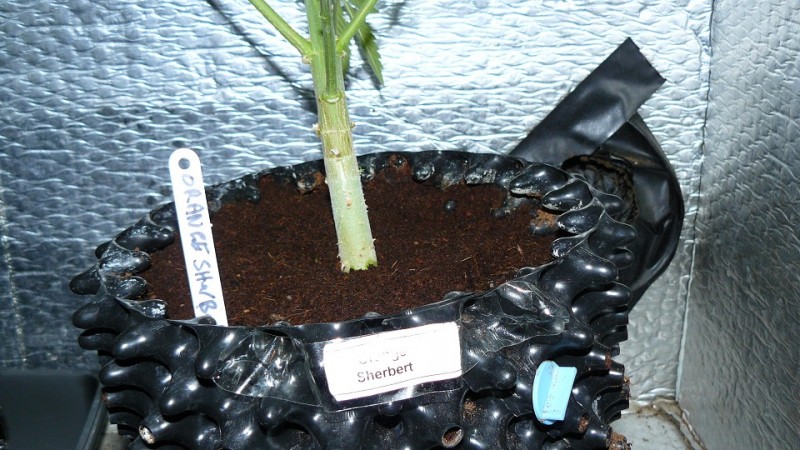 drobes 19 01 22 060