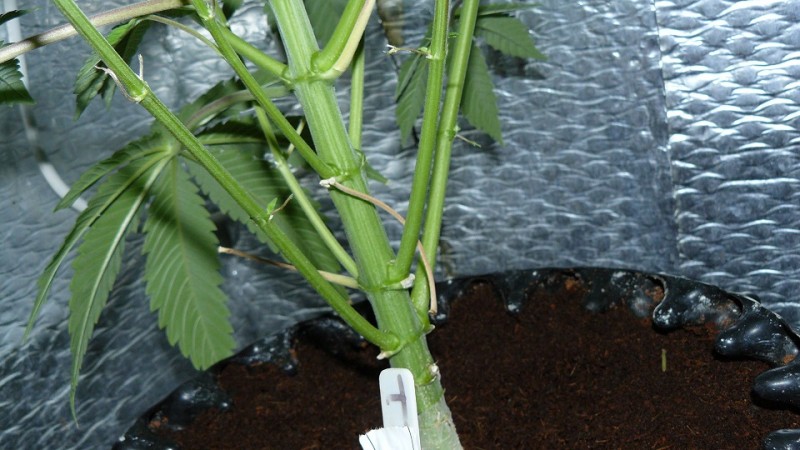 drobes 19 01 22 061