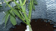 drobes 19 01 22 061