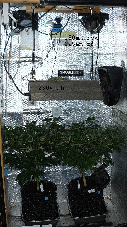 drobes 19 01 22 067