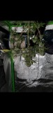 Screenshot_20220119-212911_Gallery