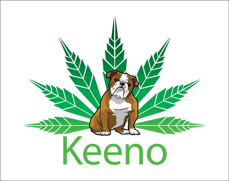 Keeno Logo_Final_Transp Version-01