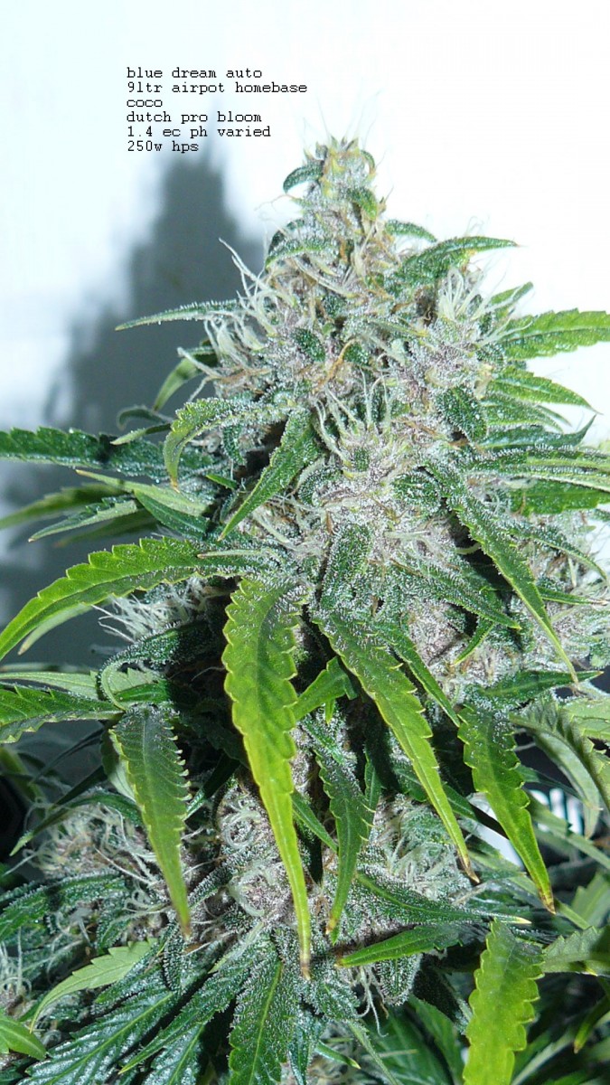drobes 24 01 22 003