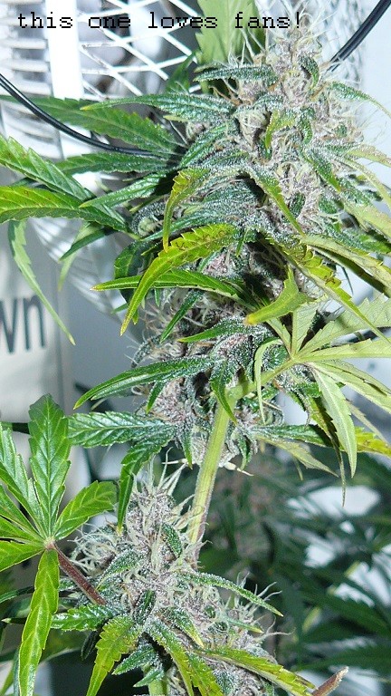 drobes 24 01 22 008