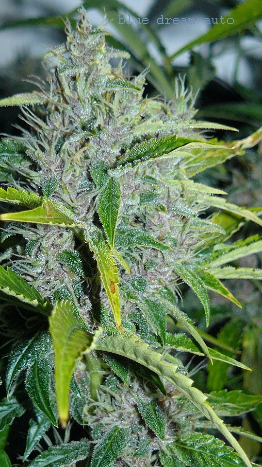 drobes 24 01 22 014