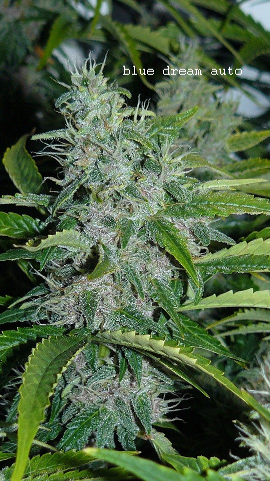 drobes 24 01 22 015
