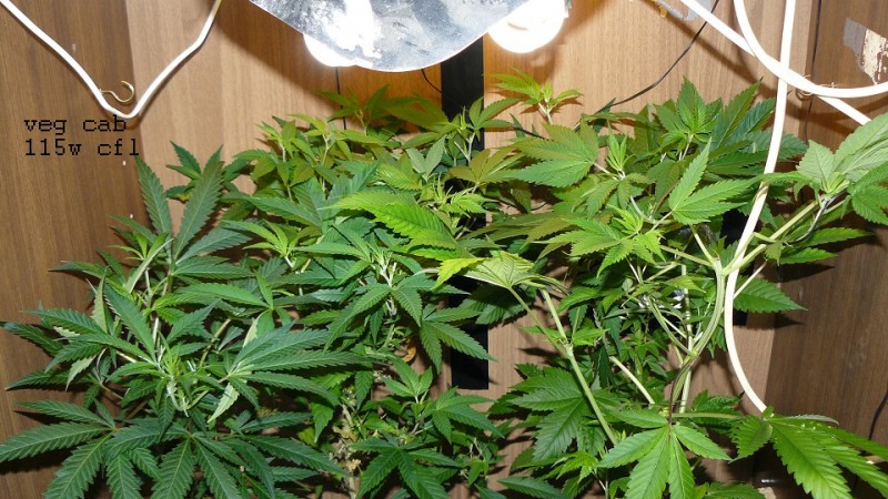 drobes 24 01 22 042
