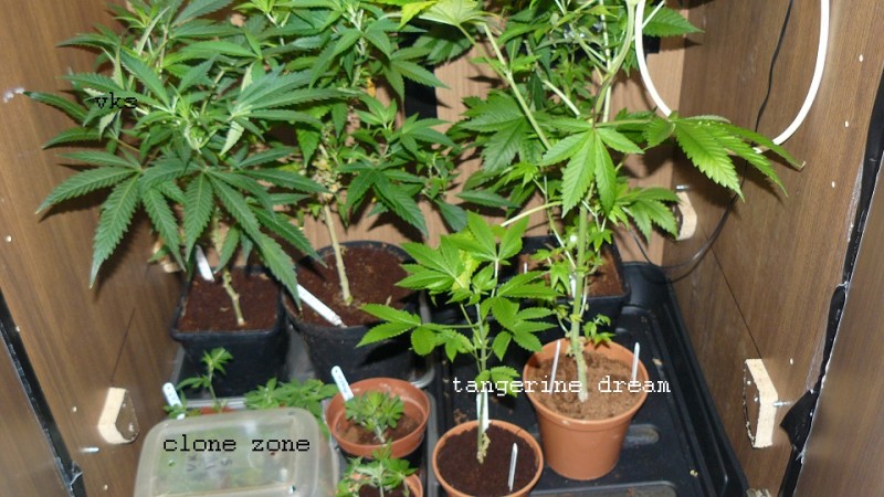drobes 24 01 22 049