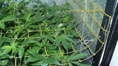 drobes 24 01 22 056