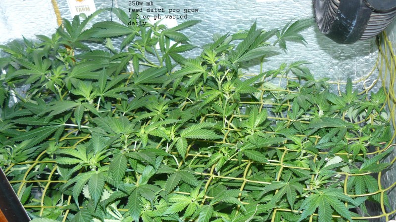 drobes 24 01 22 059