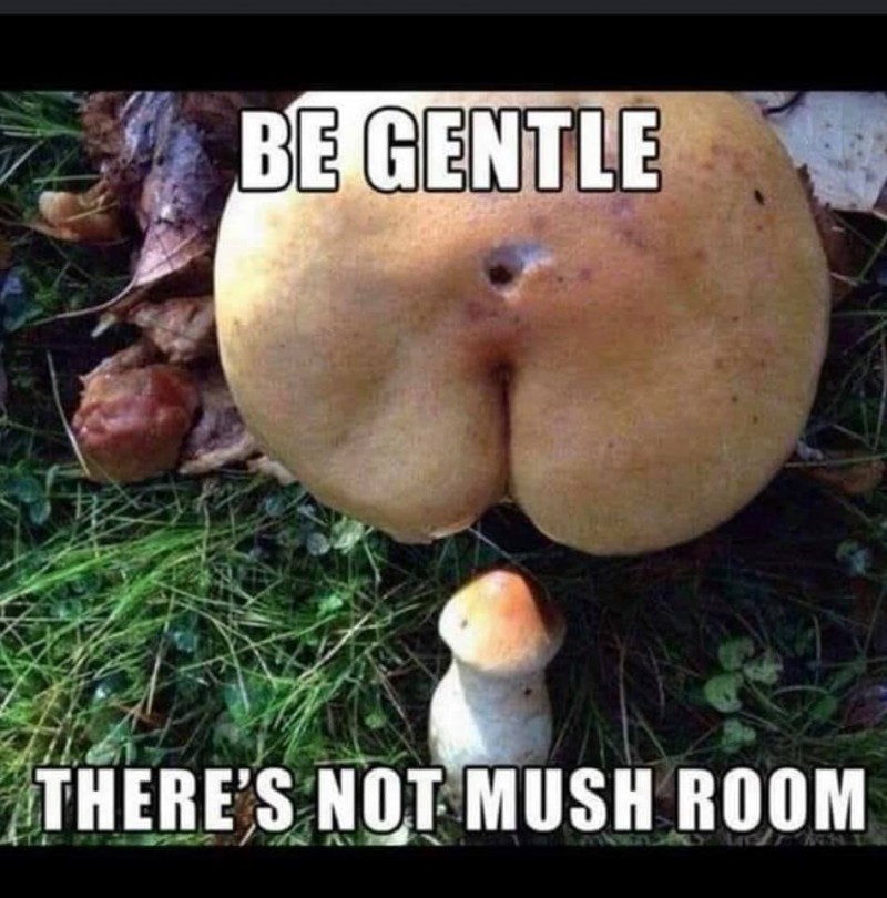 mushroom