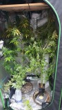 IMG_20220126_095046_205