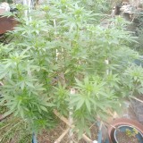 IMG_20220127_174236