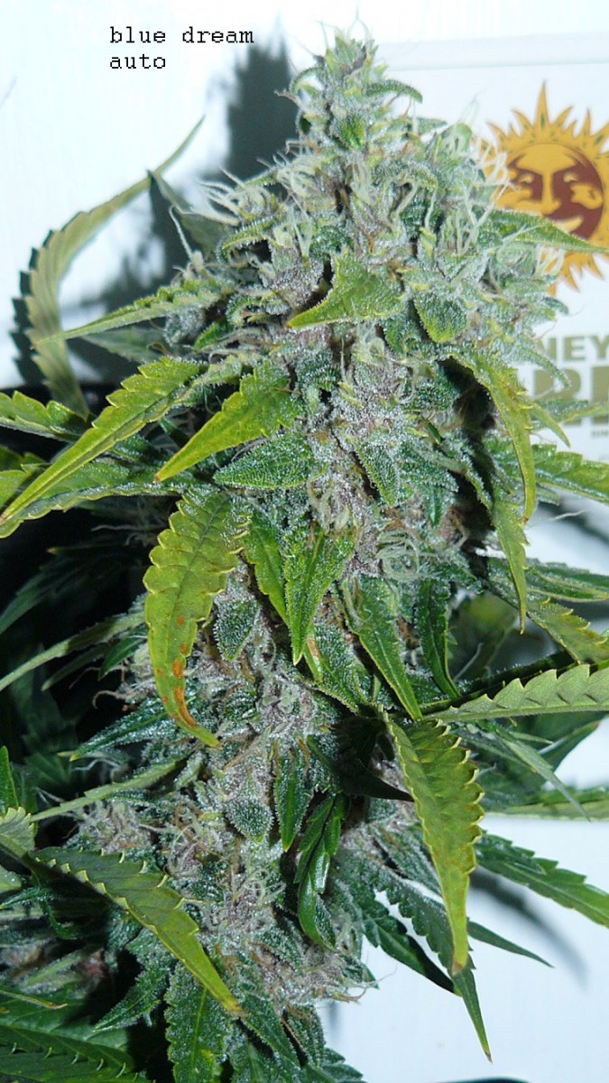 drobes 28 01 22 002