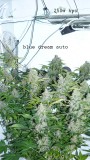 drobes 28 01 22 009