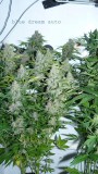drobes 28 01 22 012
