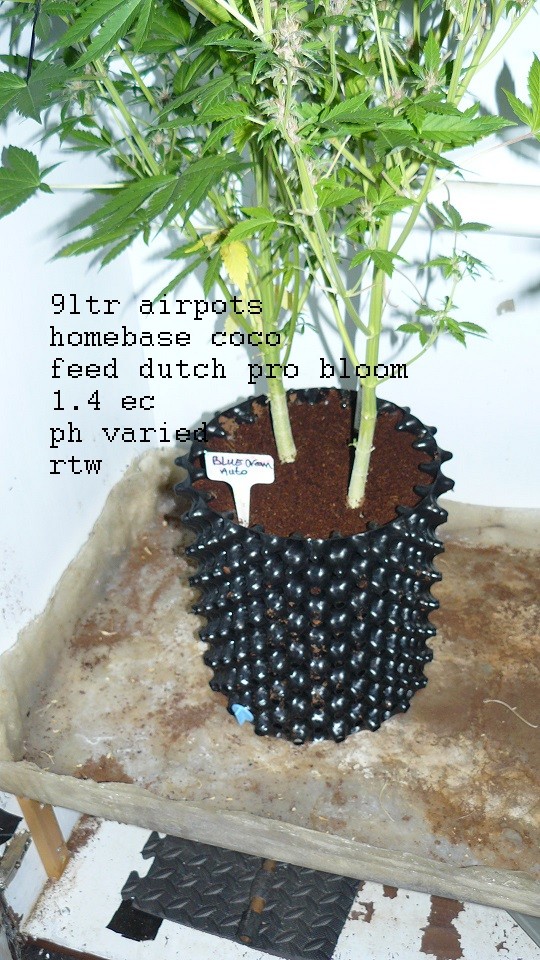 drobes 28 01 22 013