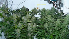 drobes 28 01 22 031