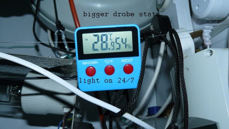 drobes 28 01 22 034