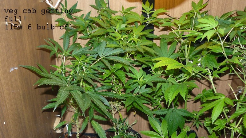 drobes 28 01 22 035