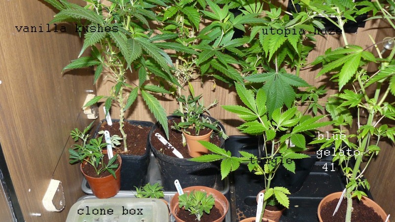drobes 28 01 22 036