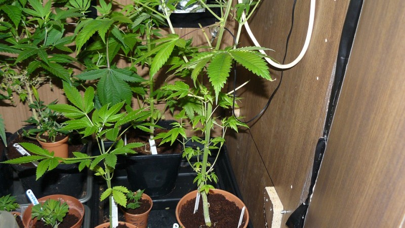 drobes 28 01 22 037