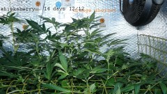 drobes 28 01 22 042
