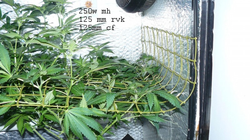 drobes 28 01 22 043