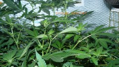 drobes 28 01 22 048