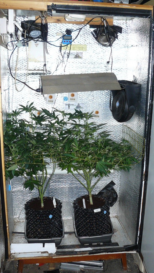 drobes 28 01 22 051