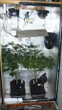drobes 28 01 22 051