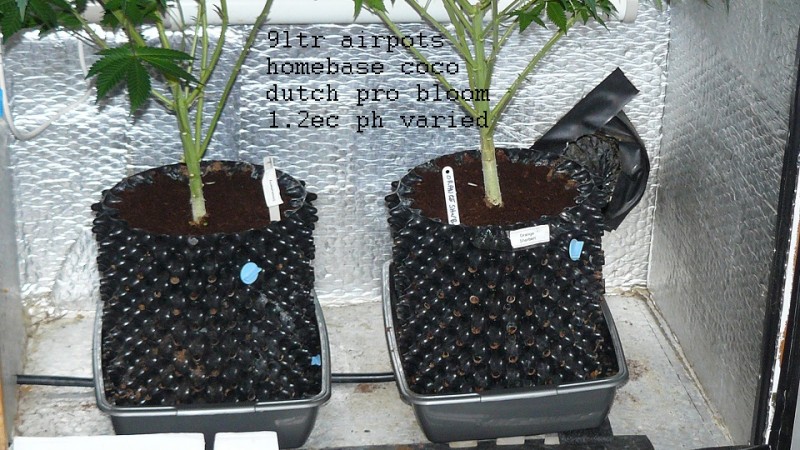 drobes 28 01 22 052