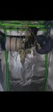 Screenshot_20220129-163739_Gallery