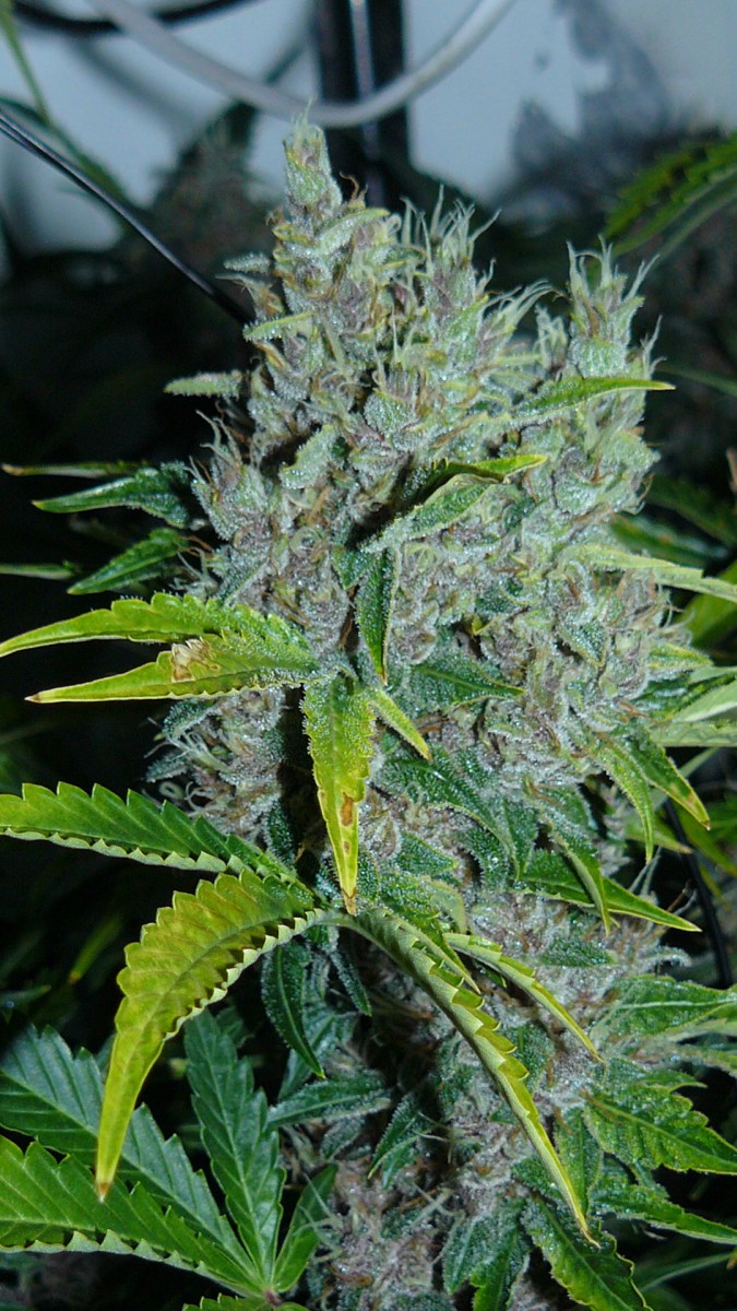 drobes 01 02 22 005