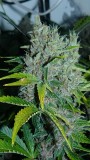 drobes 01 02 22 005