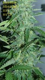 drobes 01 02 22 014