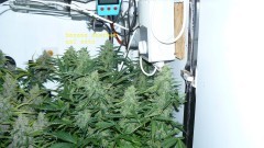 drobes 01 02 22 026