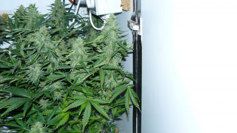 drobes 01 02 22 029