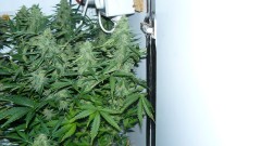drobes 01 02 22 029