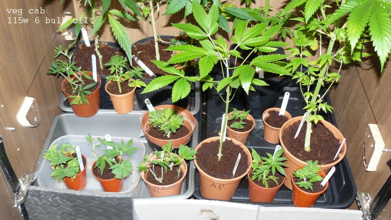 drobes 01 02 22 034