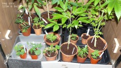 drobes 01 02 22 034
