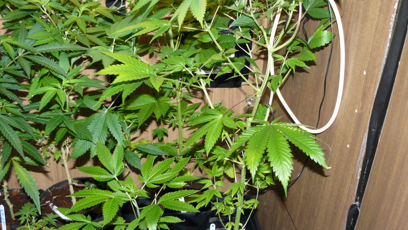 drobes 01 02 22 036