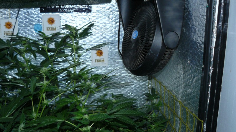 drobes 01 02 22 043