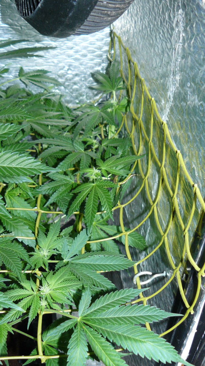 drobes 01 02 22 047
