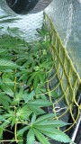 drobes 01 02 22 047