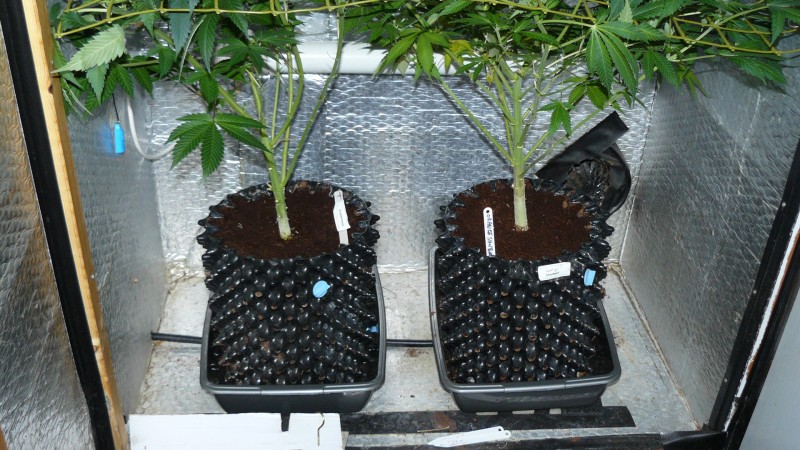 drobes 01 02 22 051